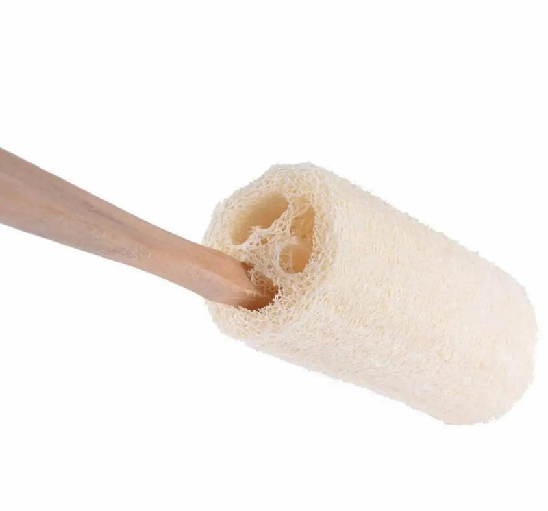 Loofah Bath Brush